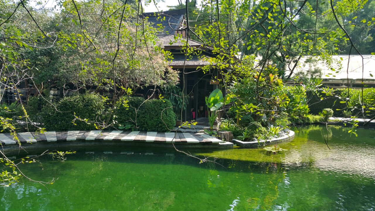 Calm lake